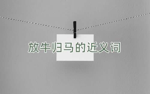 放牛归马的近义词