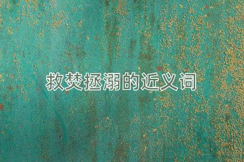 救焚拯溺的近义词