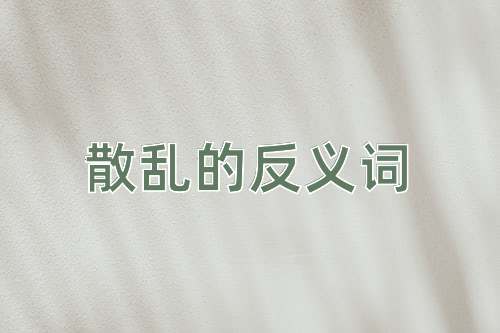 散乱的反义词