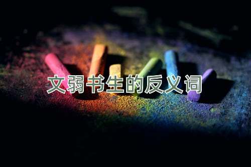 文弱书生的反义词