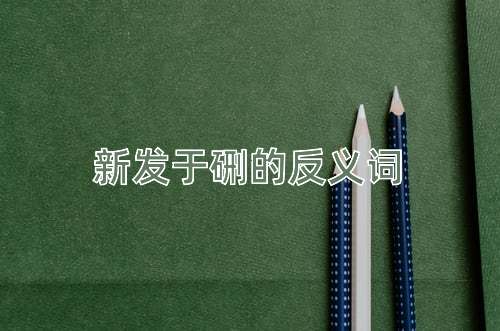 新发于硎的反义词