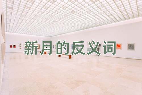 新月的反义词