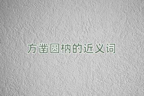方凿圆枘的近义词