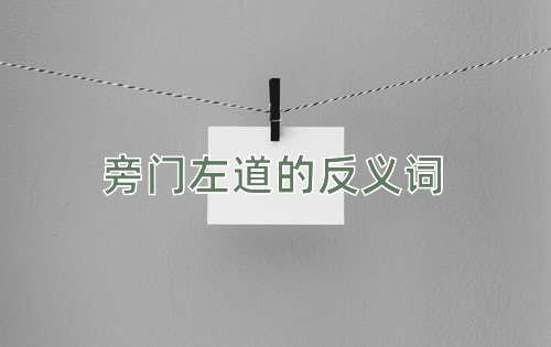 旁门左道的反义词