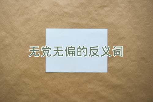 无党无偏的反义词