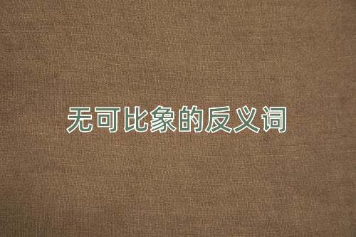 无可比象的反义词