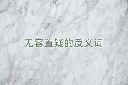 无容置疑的反义词