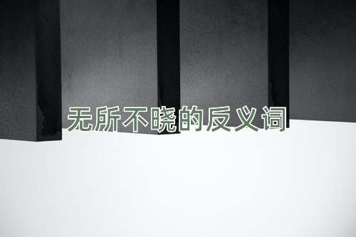 无所不晓的反义词