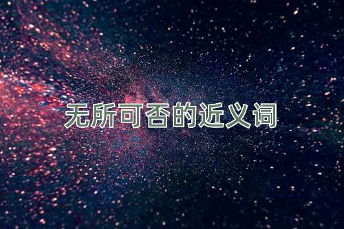 无所可否的近义词