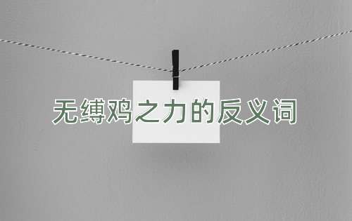 无缚鸡之力的反义词