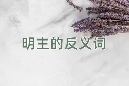 明主的反义词