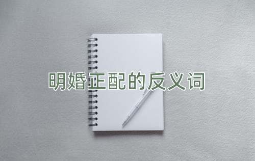 明婚正配的反义词