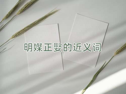 明媒正娶的近义词