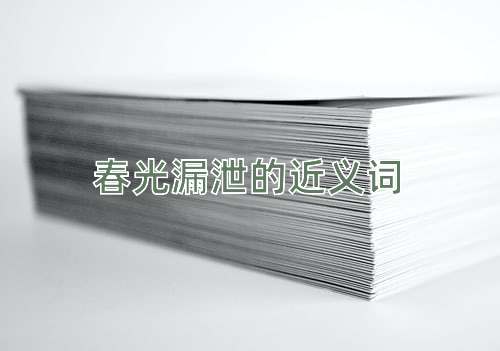 春光漏泄的近义词