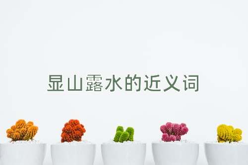 显山露水的近义词