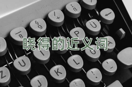 晓得的近义词
