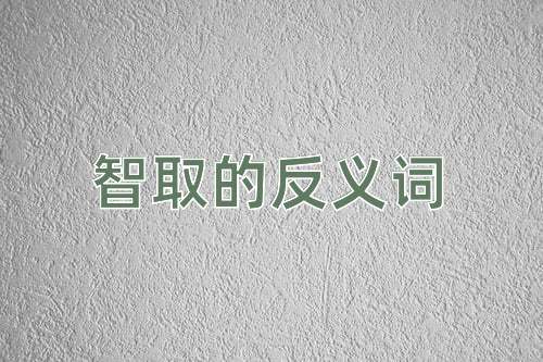 智取的反义词