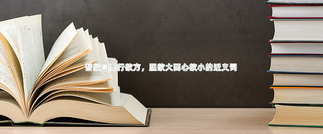 智欲圆而行欲方，胆欲大而心欲小的近义词