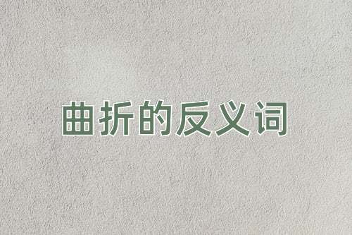 曲折的反义词
