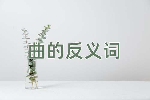 曲的反义词