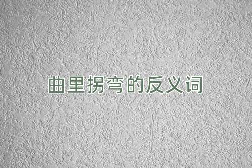 曲里拐弯的反义词