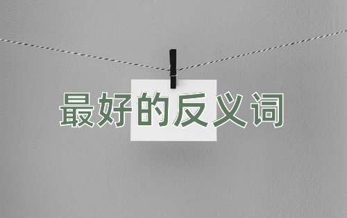 最好的反义词