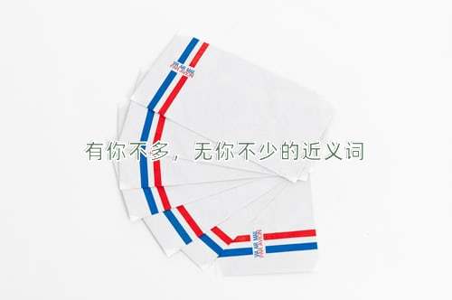 有你不多，无你不少的近义词