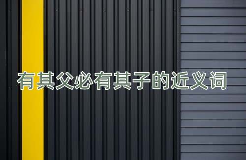 有其父必有其子的近义词