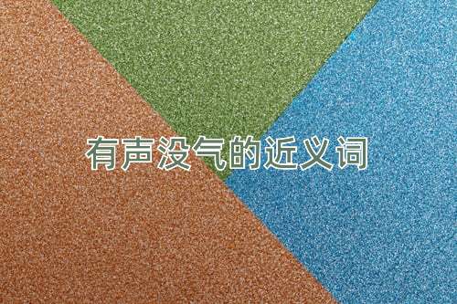 有声没气的近义词