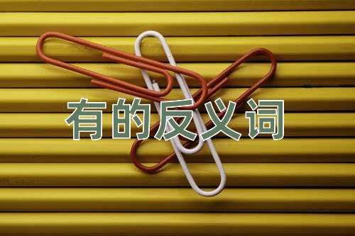 有的反义词