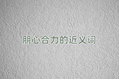 朋心合力的近义词