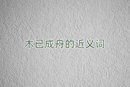 木已成舟的近义词
