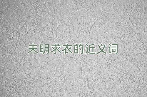 未明求衣的近义词