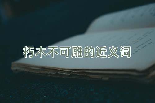 朽木不可雕的近义词