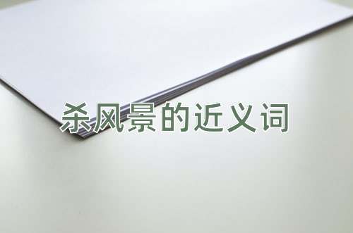 杀风景的近义词