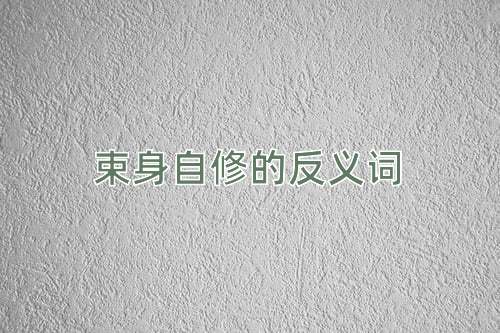 束身自修的反义词