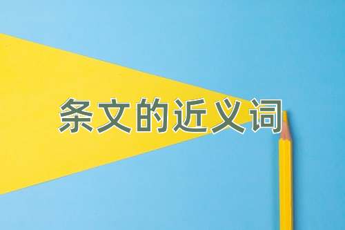 条文的近义词