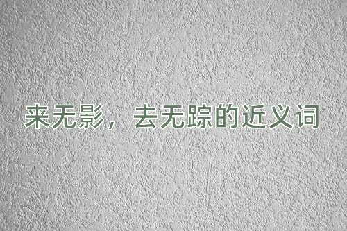 来无影，去无踪的近义词