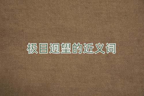 极目迥望的近义词