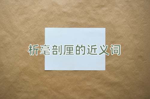 析毫剖厘的近义词