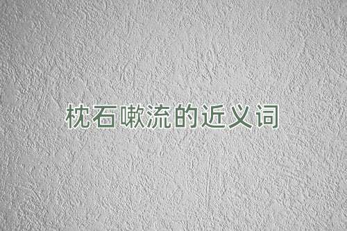 枕石嗽流的近义词