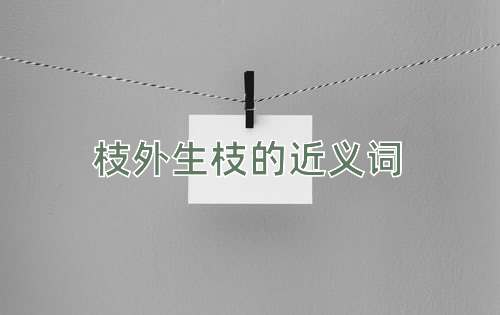 枝外生枝的近义词
