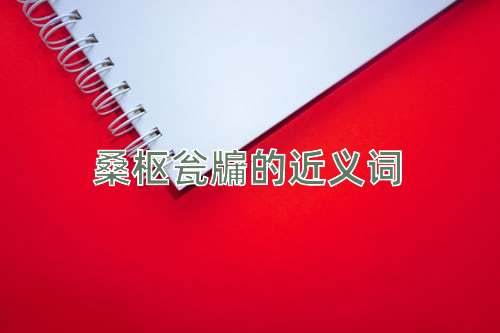 桑枢瓮牖的近义词