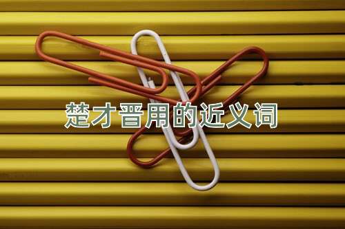 楚才晋用的近义词