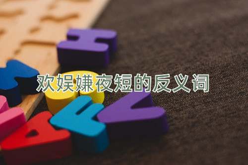 欢娱嫌夜短的反义词