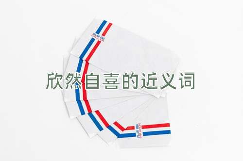 欣然自喜的近义词