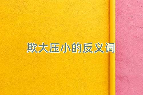 欺大压小的反义词