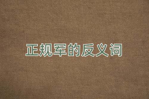 正规军的反义词