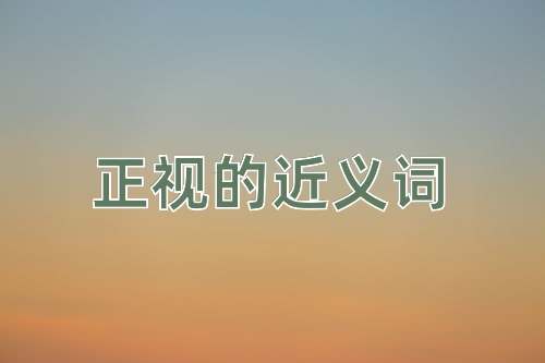 正视的近义词