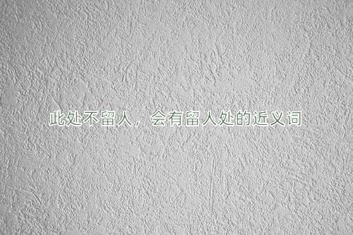 此处不留人，会有留人处的近义词